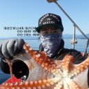 속초문어왕