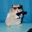 목동고등학교 이미지