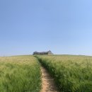 웅이목장 이미지