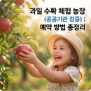 충청농장 | 과일 수확 체험 농장 (공공기관 인증) : 찾는 방법, 방문전 체크리스트 총정리
