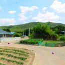 주교면행정복지센터 이미지