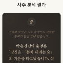 봄비숲