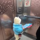 소양공원 | 전주 인근 16개월 아기랑 브런치 먹으러 방문한 더소양 카페