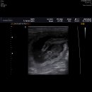 운정24시동물의료센터 이미지