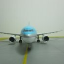 A300 이미지