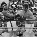 MV Boxing 이미지