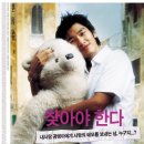봄날의곰