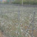 옥이네농장 이미지