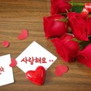 동그라미 이미지