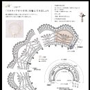 심플하고 이쁜 레이스 넥 케이프 뜨기 칼라 무료 도안 [코바늘 뜨기] 이미지