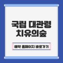 강릉성산자원환경 | 강릉 국립 대관령 치유의숲 관람 예약 및 이용 요금 근처 맛집 가볼만한 곳 완벽 정리