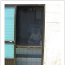 당감119안전센터 이미지