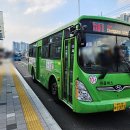 대명교통(마을버스) 이미지