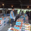 대덕청과 이미지