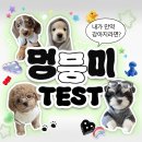 안녕, 내강아지 이미지