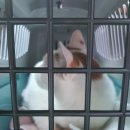 와우종합동물병원 이미지