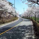 충효입구삼거리 이미지