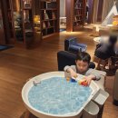 5세 6세 7세 그림책 추천, 그레이트북스 고고세계아이 유아세계문화전집 3개월 책육아 후기 GOGO