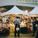 담고마켓 이미지