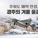 경주 가볼만한곳 겨울도 좋을 국내1박2일여행 이미지