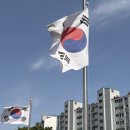 진정한;벌꿀 | [포캣멍센터] 안산 유기견, 유기묘 보호센터 봉사후기 2회차(1365신청, 가는길)