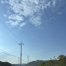 대원관광농원 이미지