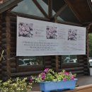 구드래 먹자골목 이미지