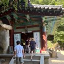 돌틈이 | [공지] 경주여행코스 추천 | 울산 출발 석굴암·첨성대·동궁과월지 반나절 여행