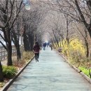 허밍웨이길 이미지