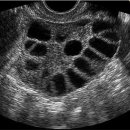 일산제일산부인과의원 이미지