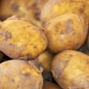 감자와 스무디 이미지