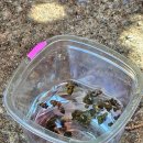 쌍용민박 이미지