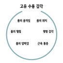 피트니스고유 이미지