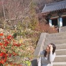 수함요새 이미지