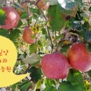 양지농산물 이미지