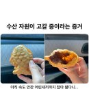 보배수산