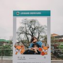 신현원창동행정복지센터 이미지