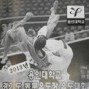 용인유도체육관 이미지