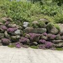 지리산하늘펜션 이미지