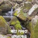 예산 가야산 상가리계곡 이미지