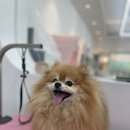 헬로다키