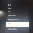 6-217 TS | 크롬캐스트 With 구글 TV 사용후기