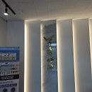 오백한우 이미지