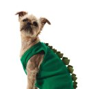 DOGGIE 이미지