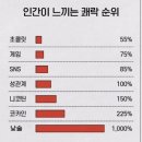 파티필름웍스 | 한해의 절반을 보내며…