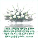 기쁜날의축제 - 광명시 철망산로 87 | 기쁜날의축제