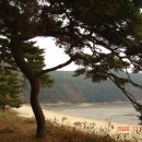 지혜의 샘 이미지