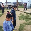 대관령 아기동물농장 이미지