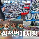 삼척번개시장 | 삼척 번개시장 오징어 고등어 문어 골뱅이 솔직후기