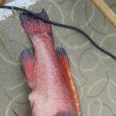 한림마트 이미지